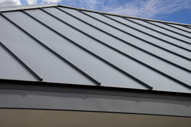 Best Chimney Flashing Repair  in West Bradenton, FL